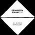 Primavera Sound 2013 - Logo oficial