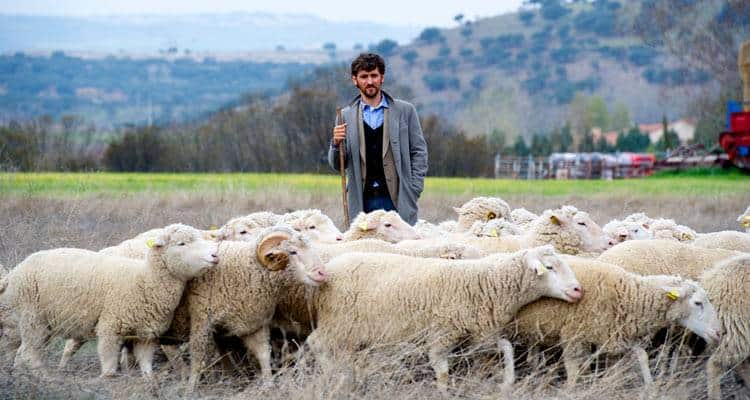 Raúl Arévalo en la película "Las ovejas no pierden el tren" (2015)