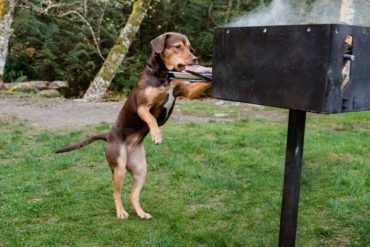 Pelicula Uno Mas En La Familia Imagen 04 370x247