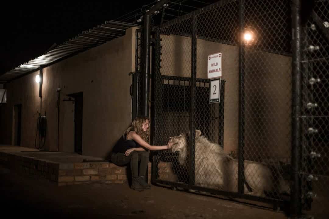 Imagen de la película Mia y el León Blanco