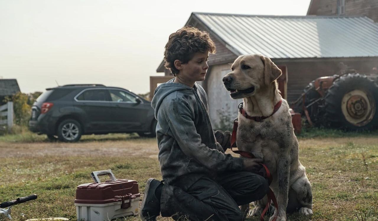 Crítica de la película 'Blood de Brad Anderson' (2023)