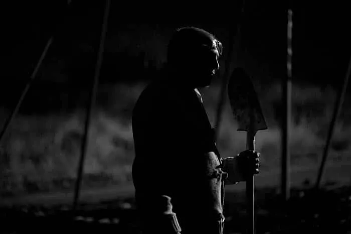 Imagen de Big Bad Wolves - Crítica de la película