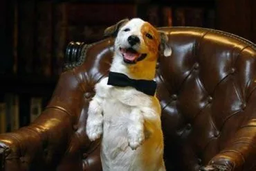 Imagen de la película 'Pancho, el perro millonario' (2014)