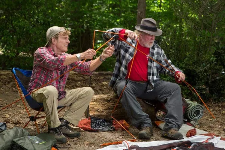 Foto Un Paseo Por El Bosque 06