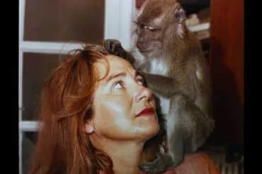 Muchos Hijos Un Mono Y Un Castillo Imagen 04