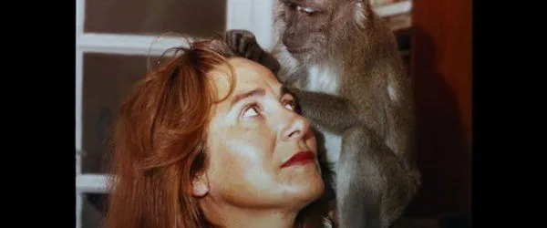 Muchos Hijos Un Mono Y Un Castillo Imagen 04