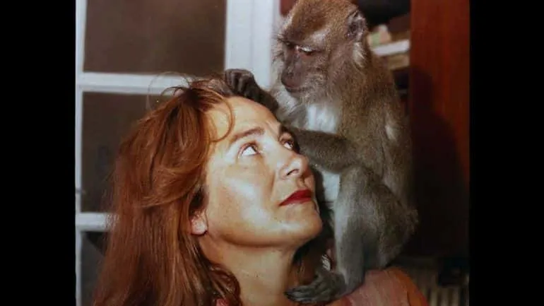 Muchos Hijos Un Mono Y Un Castillo Imagen 04