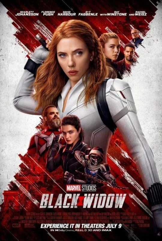 Cartel de la película Viuda negra