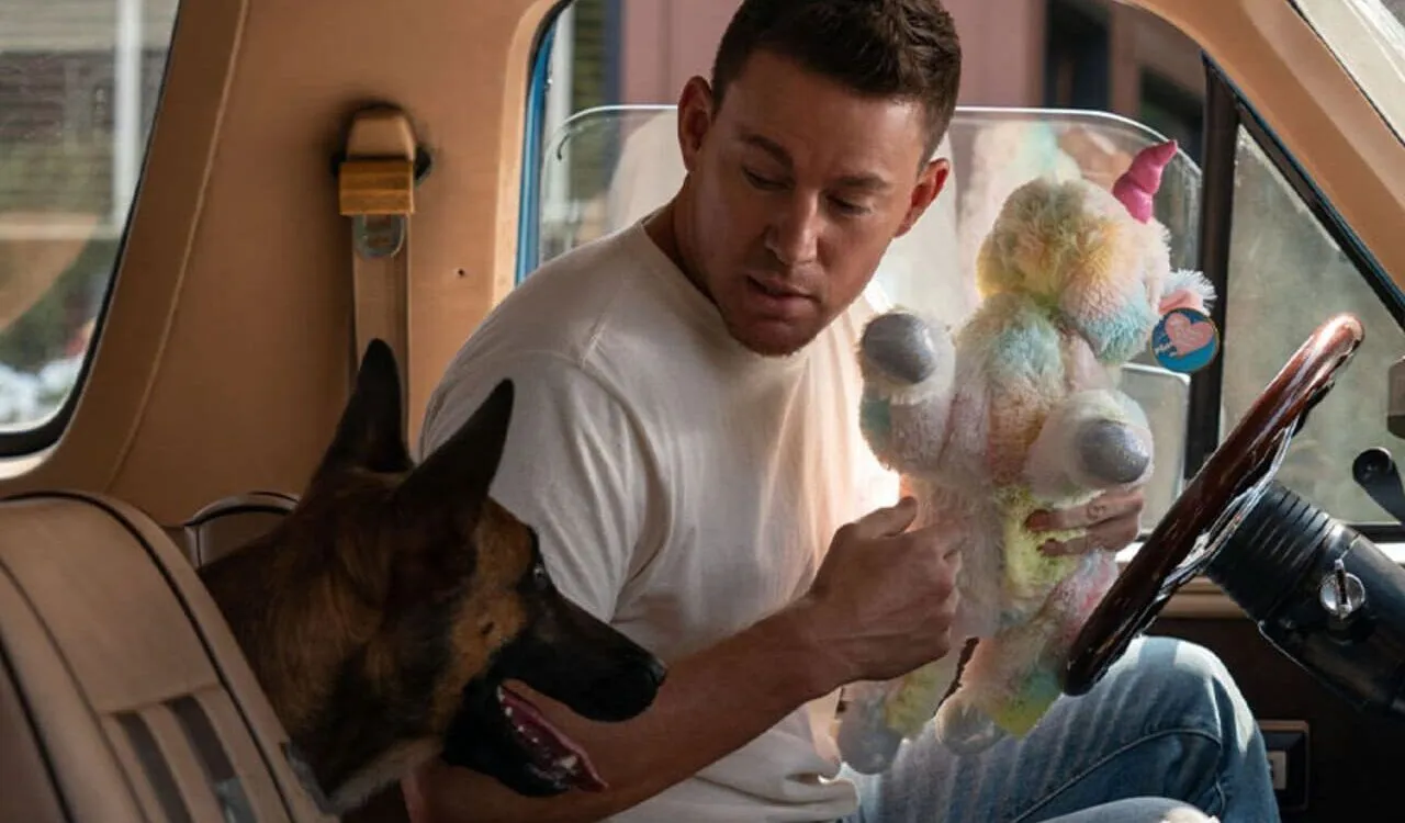 Crítica de la película Dog Un viaje salvaje