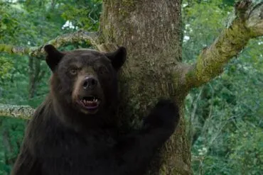 Crítica de la película Oso Vicioso (2023)