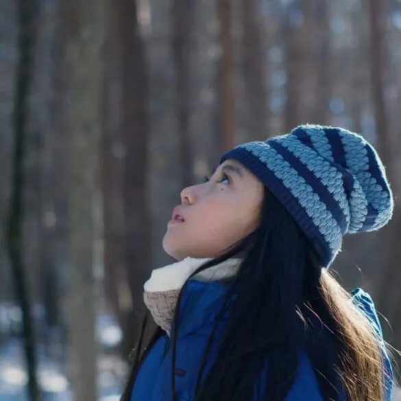 Crítica de la película El mal no existe (2024)